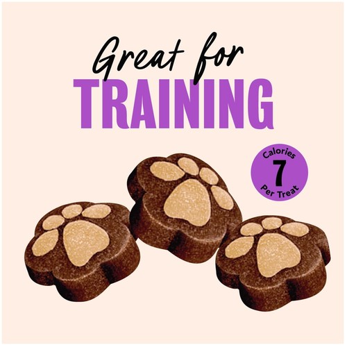 Softies filet mignon dog - mignon,